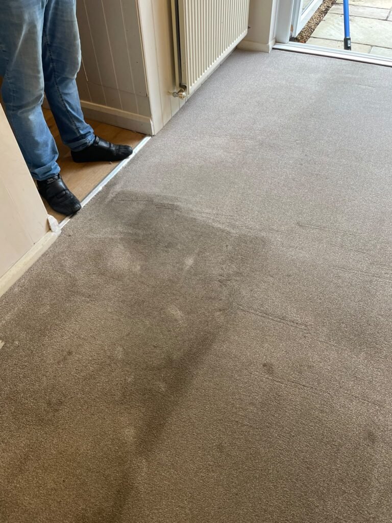 Carpet cleaning before and after