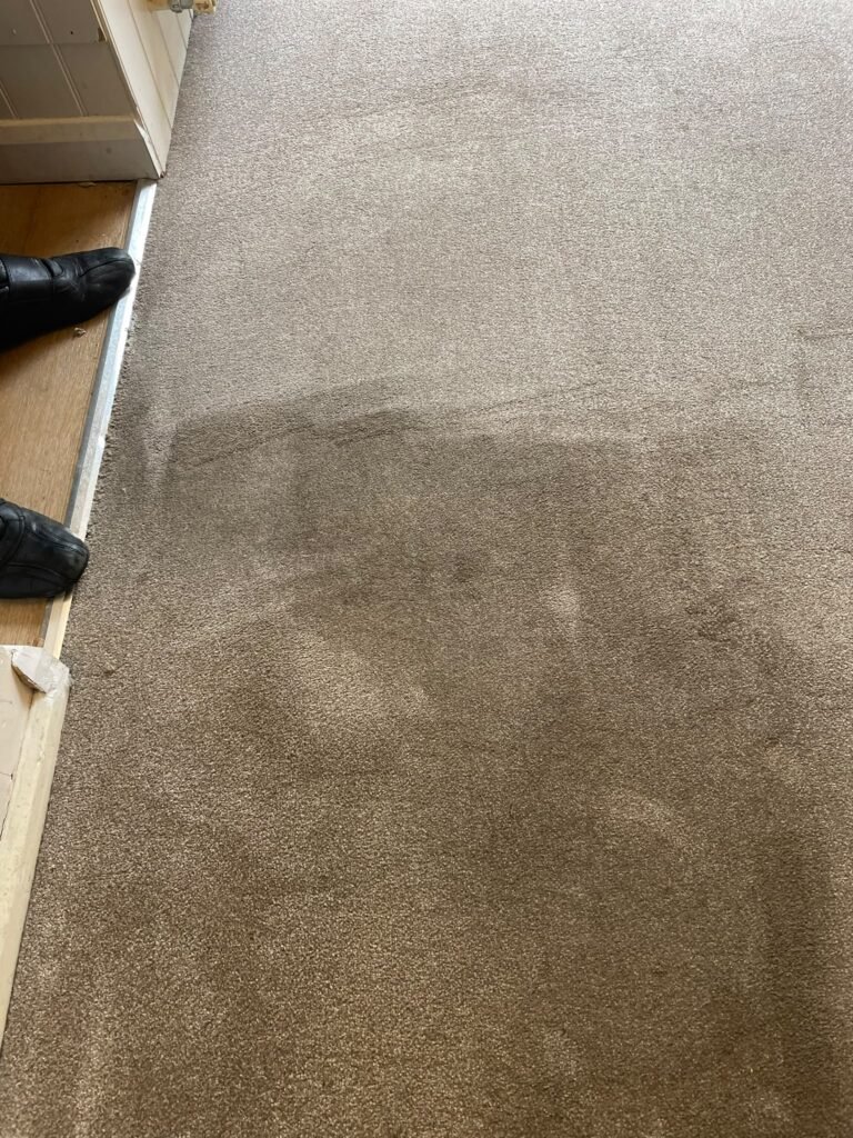 Carpet cleaning before and after
