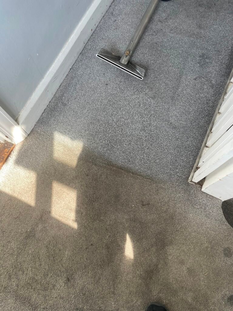 Carpet cleaning in progress by Merlin's Carpet Cleaning