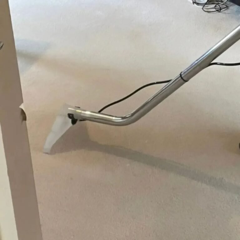 Carpet cleaning in progress by Merlin's Carpet Cleaning