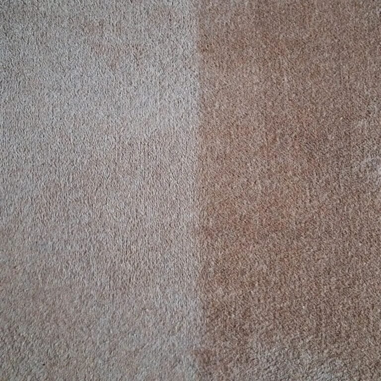Carpet cleaning before and after