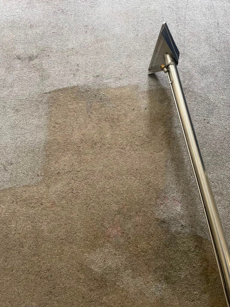 Carpet Cleaning by Merlin's Carpet Cleaning