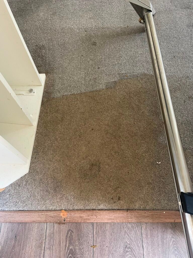Carpet cleaning before and after