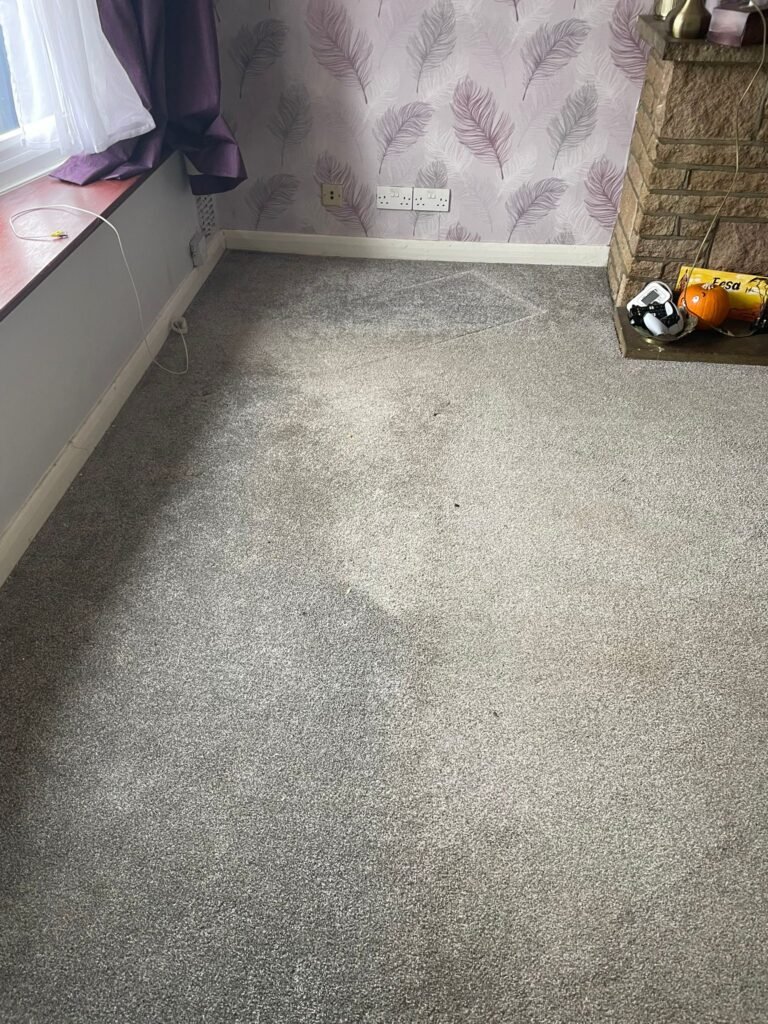 Bedroom carpet cleaning by Merlin's Carpet Cleaning
