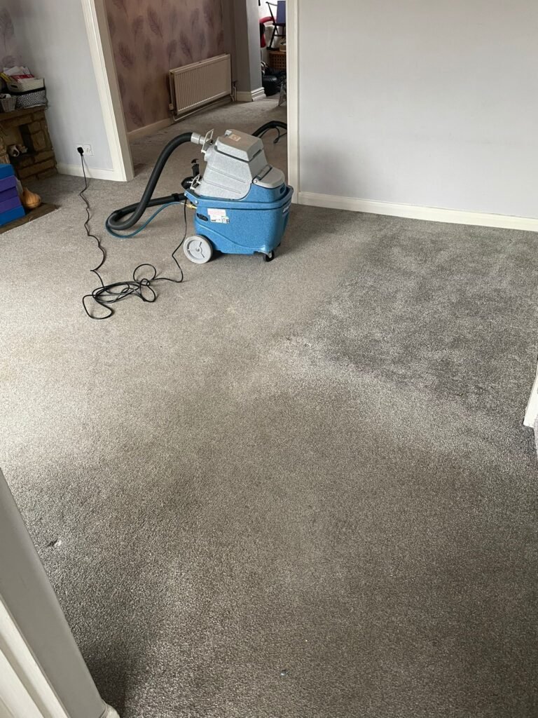 Professional carpet cleaning equipment